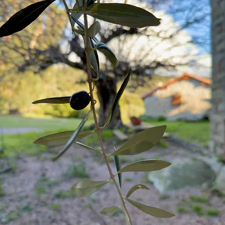 بيت للعطل Authentique Casellu En Pierre A Avec Vue Sur La بورْتِكْسْيو