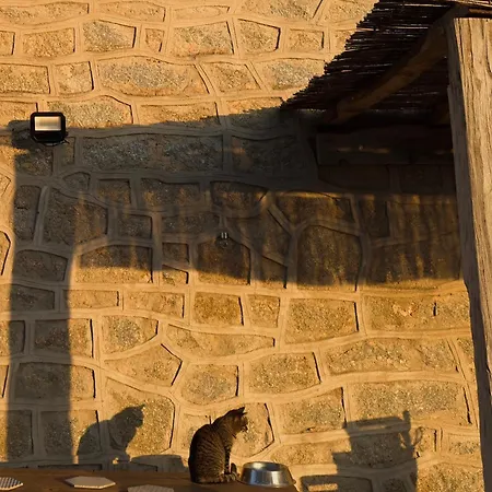 Authentique Casellu En Pierre A Avec Vue Sur La بيت للعطل بورْتِكْسْيو