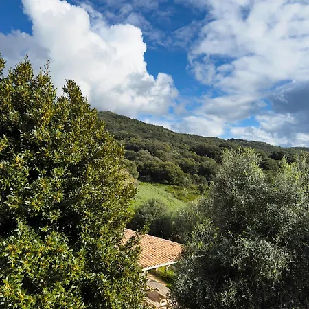Authentique Casellu En Pierre A Avec Vue Sur La * Porticcio (Corsica)