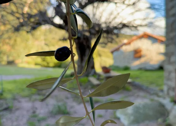 Prázdninový dům Authentique Casellu En Pierre A Avec Vue Sur La Porticcio (Corsica)
