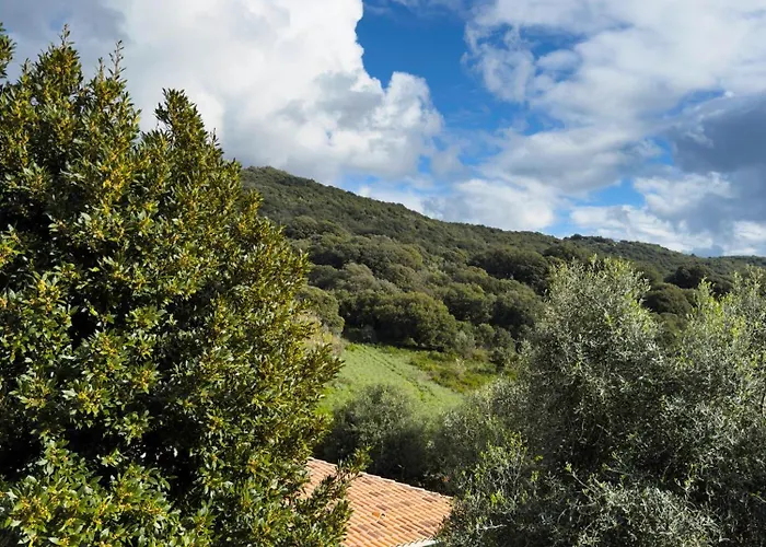 Authentique Casellu En Pierre A Avec Vue Sur La * Porticcio